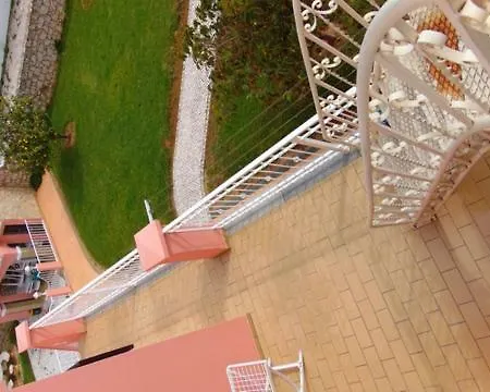 Saraiva's 3*